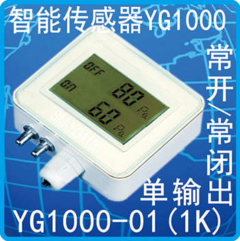 YG1000-01(1K)