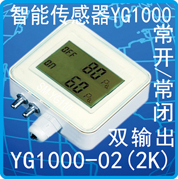 YG1000-02(2K)