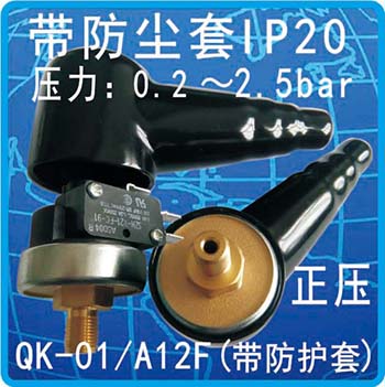 QK-01/A12F(带防护套)