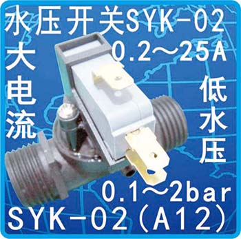 SYK-02(A12)