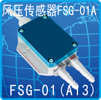 FSG-01(A13)