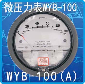 WYB-100(A)