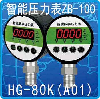HG-80K(A01)