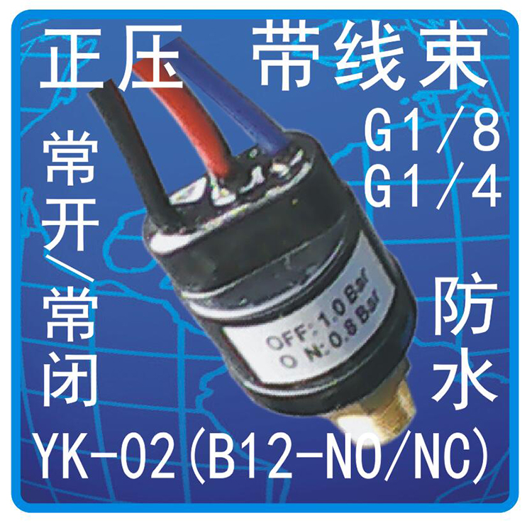 YK-02压力开关B21